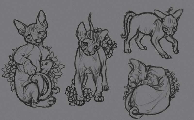 Lil sphynxes (WIP)