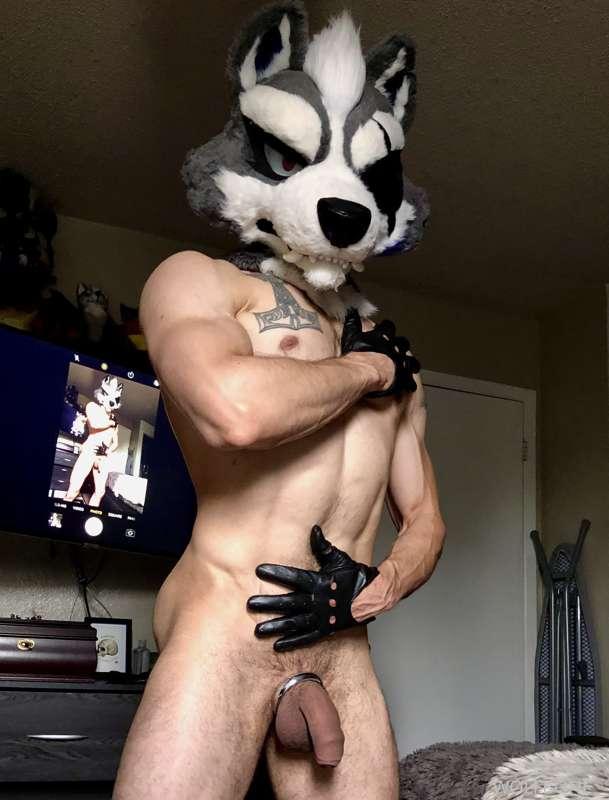 Need a good pup to come oil me up for a flexing photo shoot!