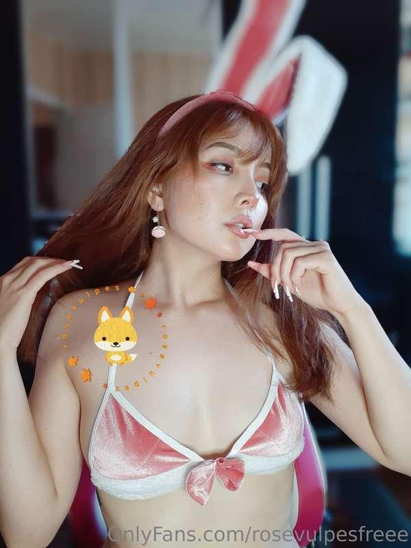 hey wolfy come to see this cute bunny so naughty~ 21 pics an..