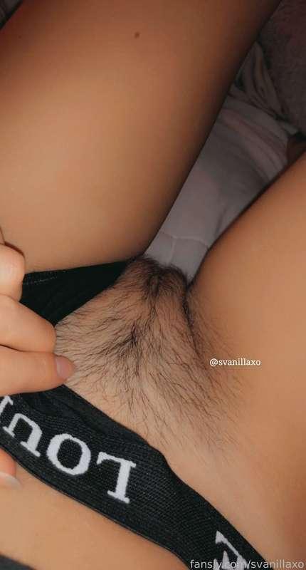 svanillaxo image #5