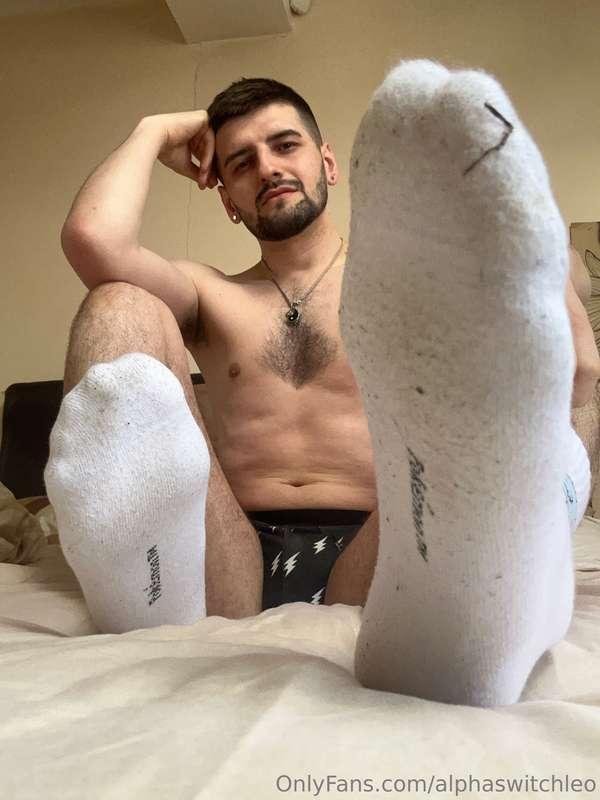 alphaswitchleo image #2
