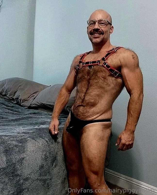 hairypiggydaddy image #0