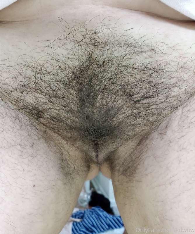 Morning bush 😃
