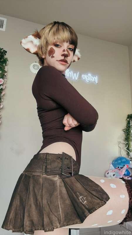 indigowhite image #60