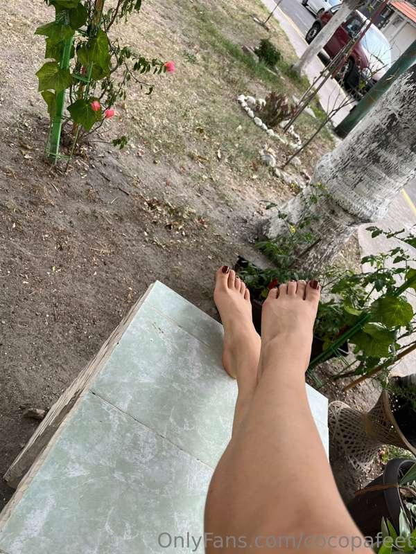 cocopafeet image #3