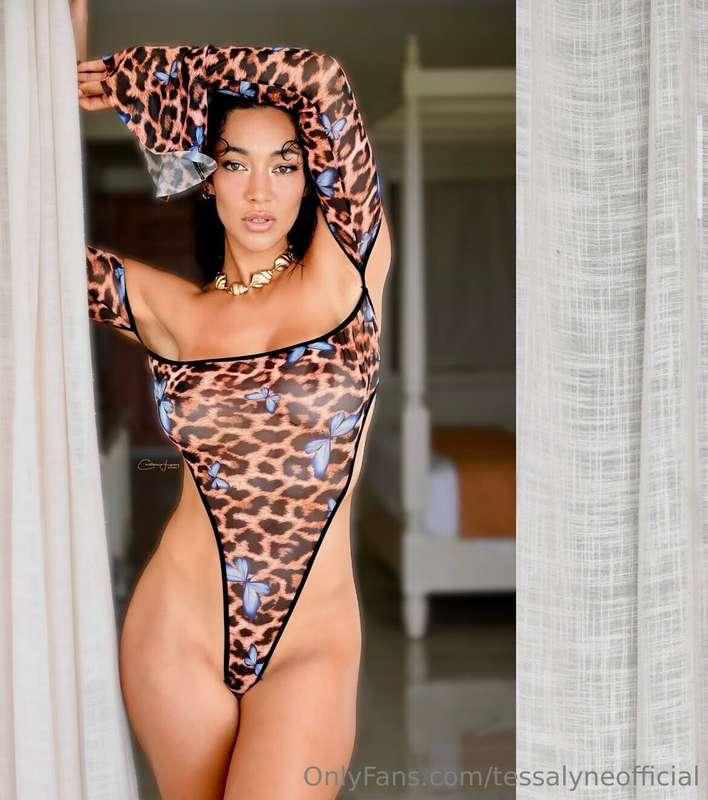 🦋🐆🐚