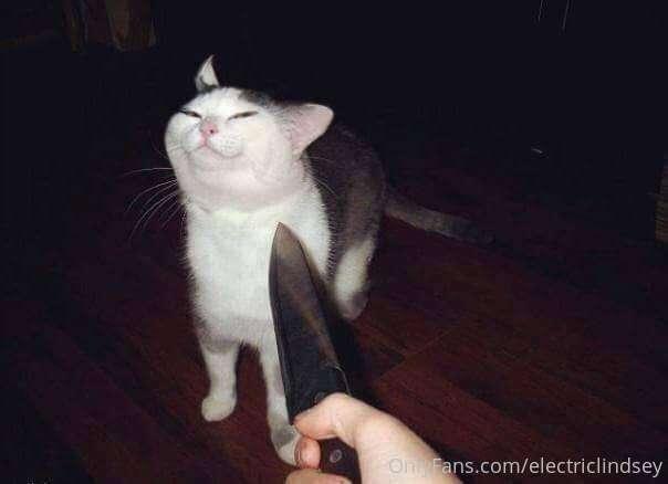 if y’all don’t start liking my mf posts....