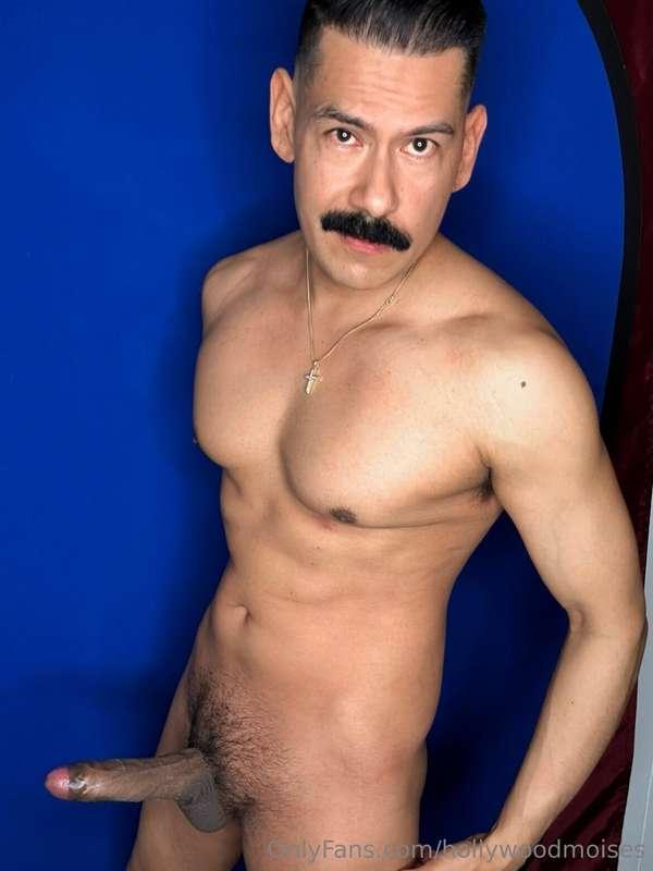 hollywoodmoises image #3