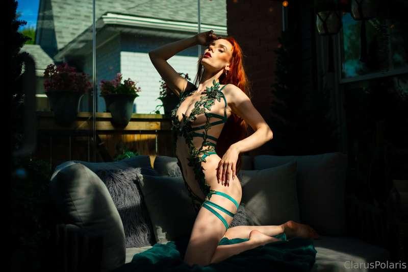 claruspolaris image #2