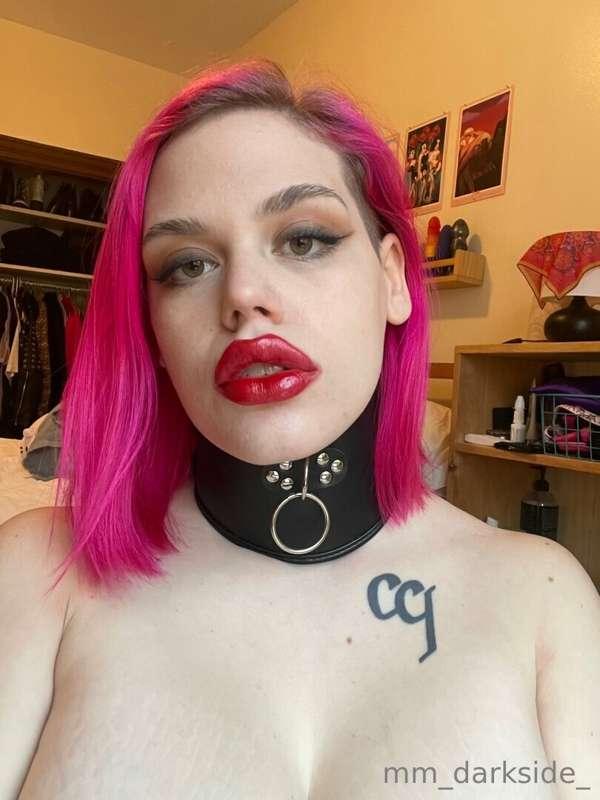 new lips new collar.
