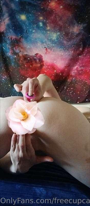 freecupcak3s image #1