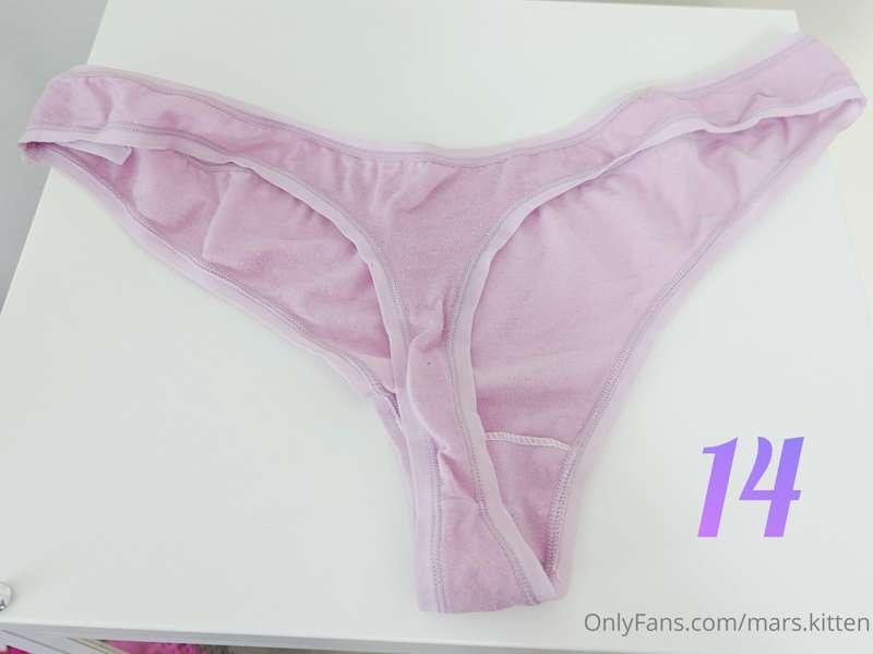 mars.kitten image #27