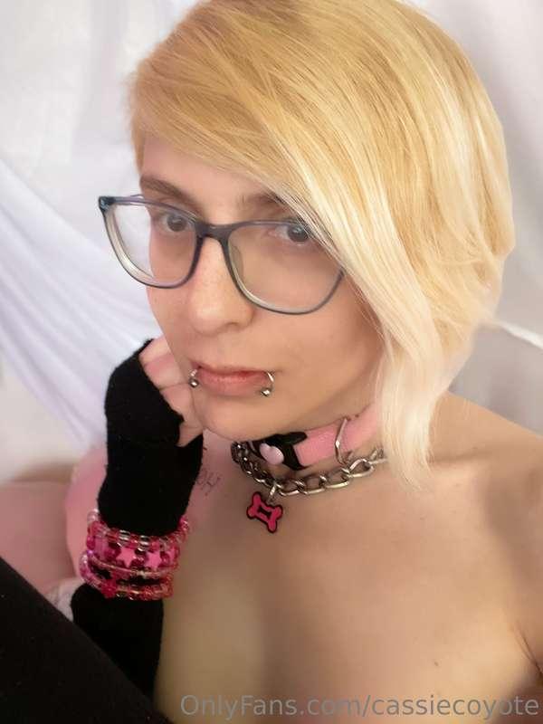 cassiecoyote image #5