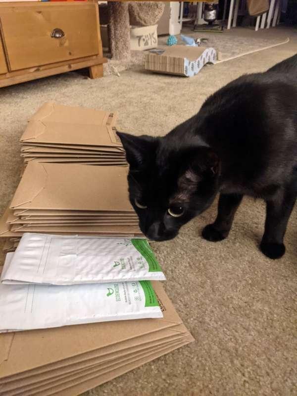 Patreon rewards have been sent out!!