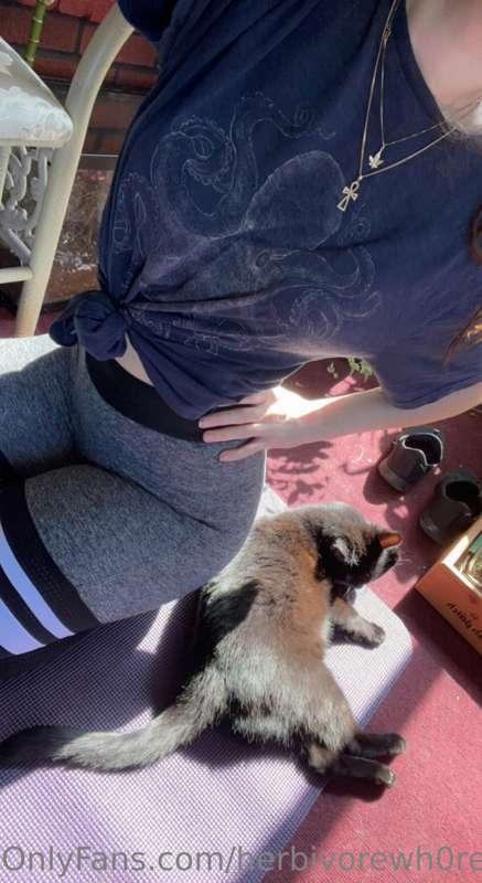 Good morning🖤 Oliver is my yoga buddy every day!