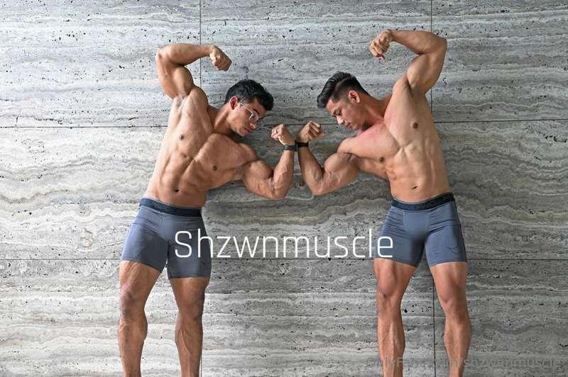 shzwanmuscle image #2