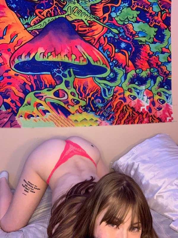Which position would you fuck me in?