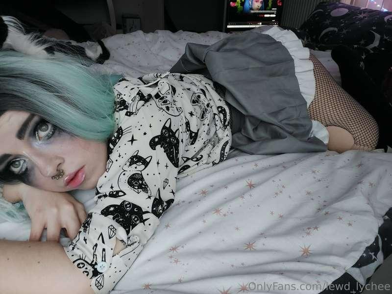 Neko neko knee high socks ✨️
