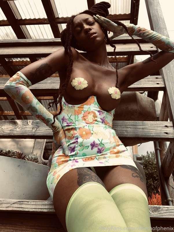 ✨✨✨✨