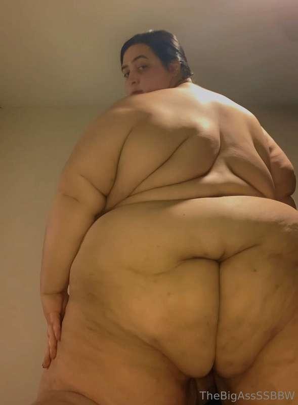 thebigassssbbw1 image #0