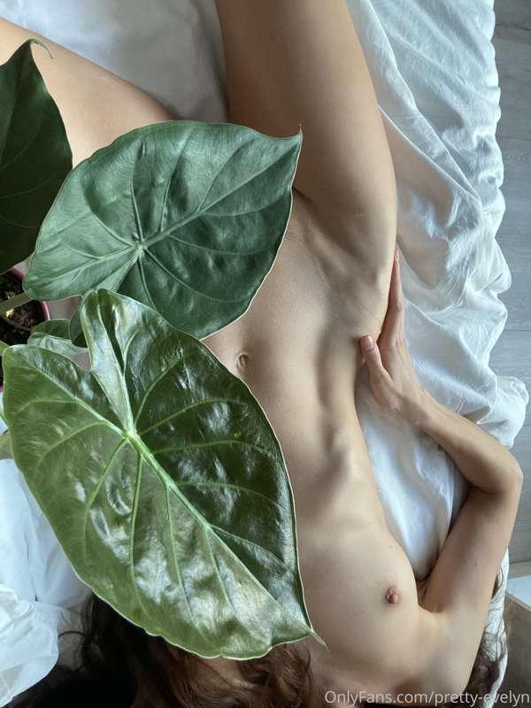linalin image #2
