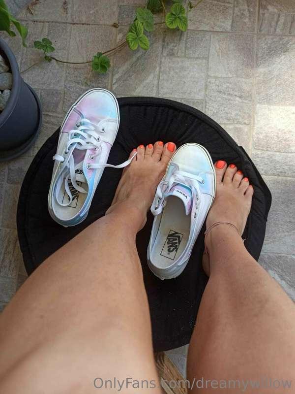 dreamywillow image #18