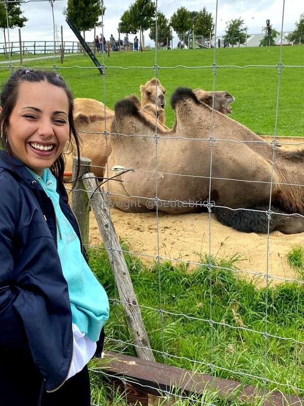 freepetitebrida image #3