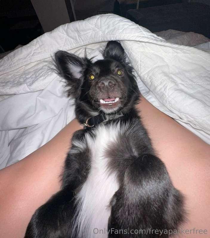 This is Barna...and he is the true love of my life🥰