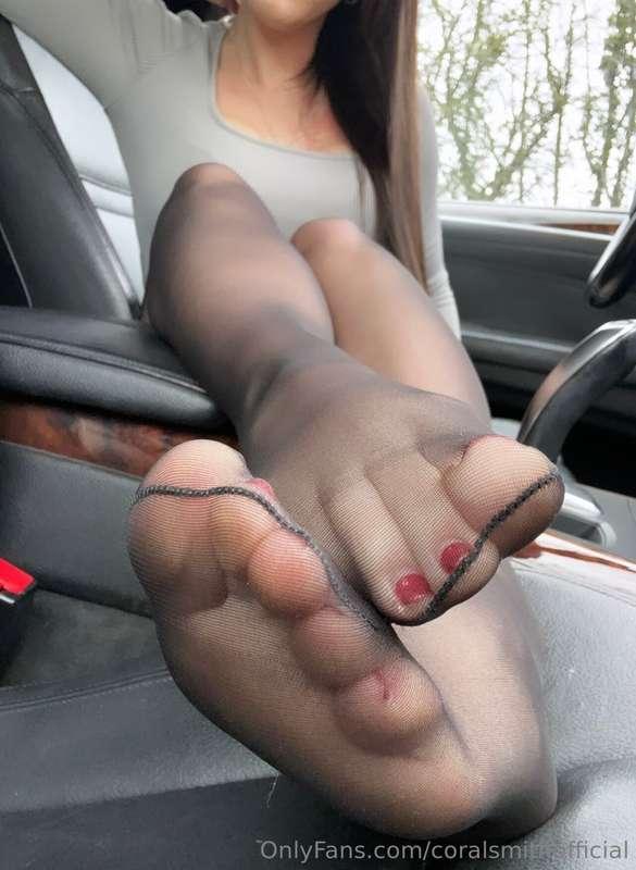 coralsmithofficial image #4