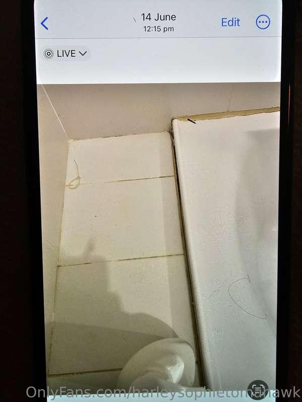 harleysophietomahawk image #6