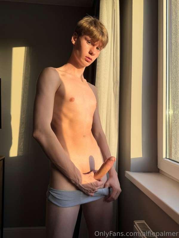 alfiepalmer image #0