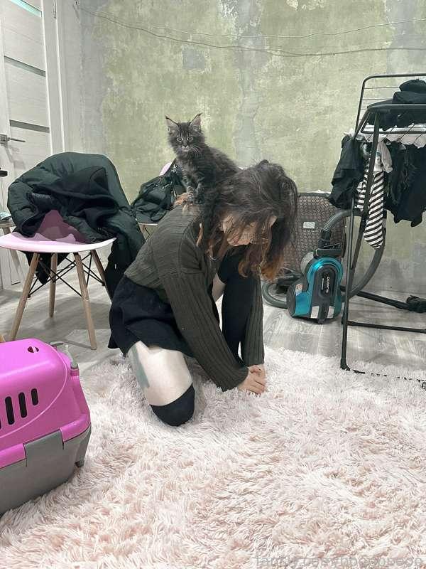 Well!!! I bought a kitten today.
This is meinkun. They grow to huge sizes. I really like this breed, they look like dogs, and dogs are my favorite animals. 
When I was little, I had a meinkun, I loved it very much. He died in 2020. 
And today I bought it. It cost me $200. Of course, I am responsible for my pet and I am able to do everything for his good life, but if you suddenly have a desire to help me with this, because you liked this little pie - I have opened a goal and all the money that I will collect, I will spend only on a kitten. I named him Tosha :3 

The last video is when I leave the room and he is left alone, he starts crying  😭❤️

*Don't cry while you're looking at my walls, they're being renovated 