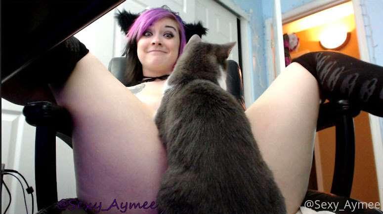 [PHOTOS] cat mom. (kuro I found the photos!)