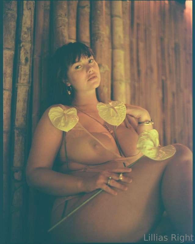 Tip if you’d buy me flowers or kiss my flower..

Photo by Wi..