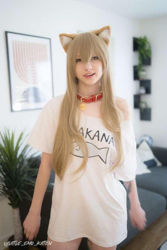 little_emo_kitten image #13