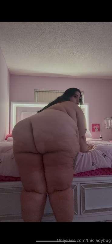 thicladybug image #0