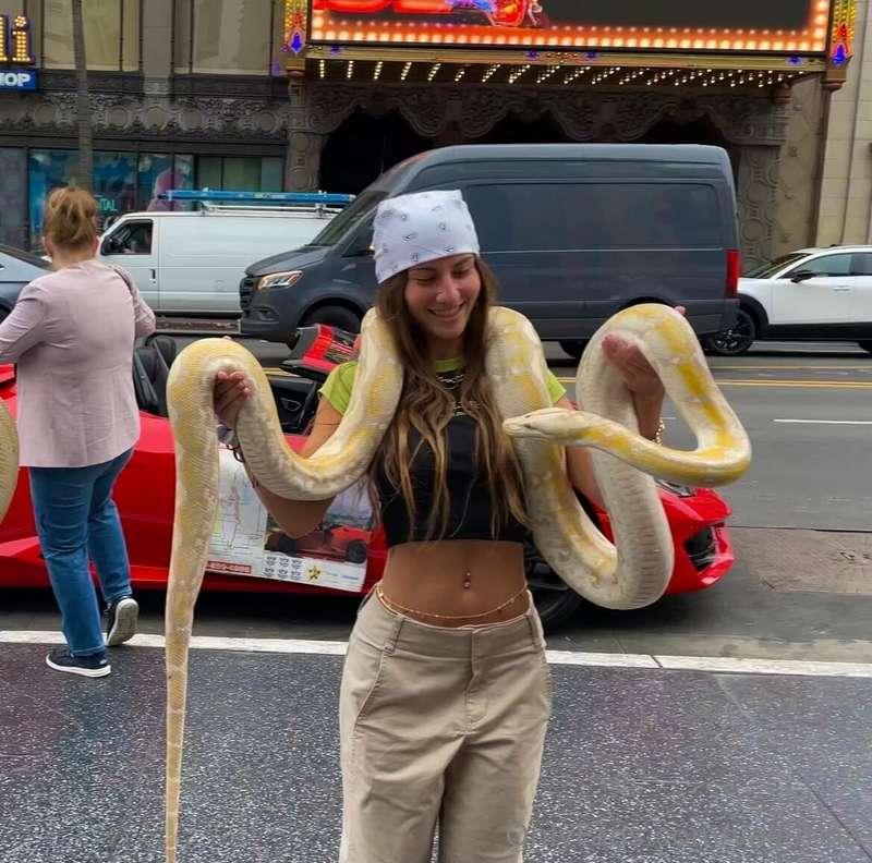 Like and vote if I could I hold your snake 🐍?