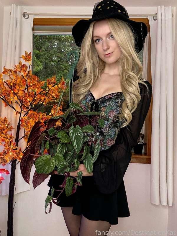 destinationkat image #1