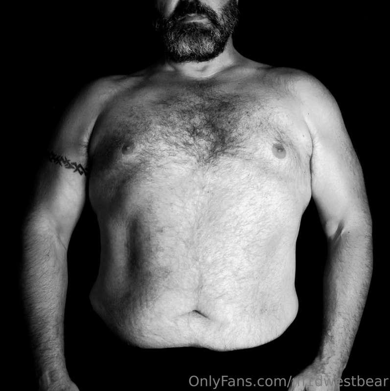 m1dwestbear image #4