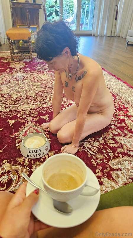 dogs can't wear clothes. dogs can only eat from their bowl.