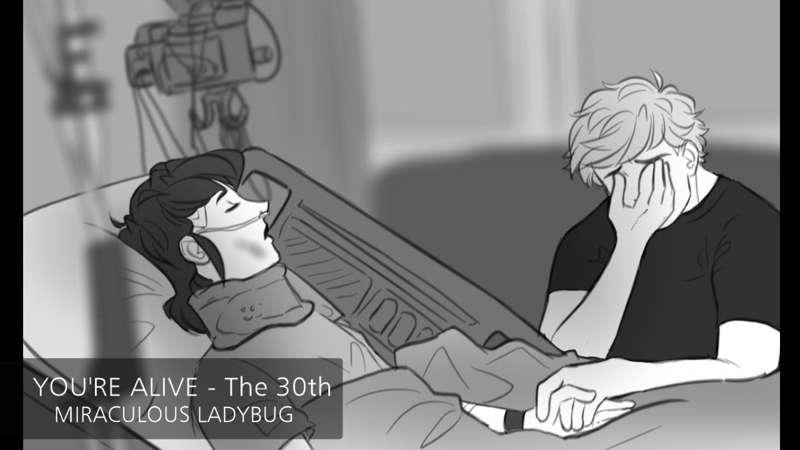 The 30th- Miraculous Ladybug Animatic