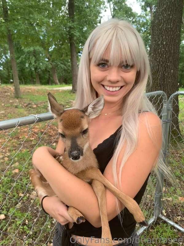 briarrrosee image #0