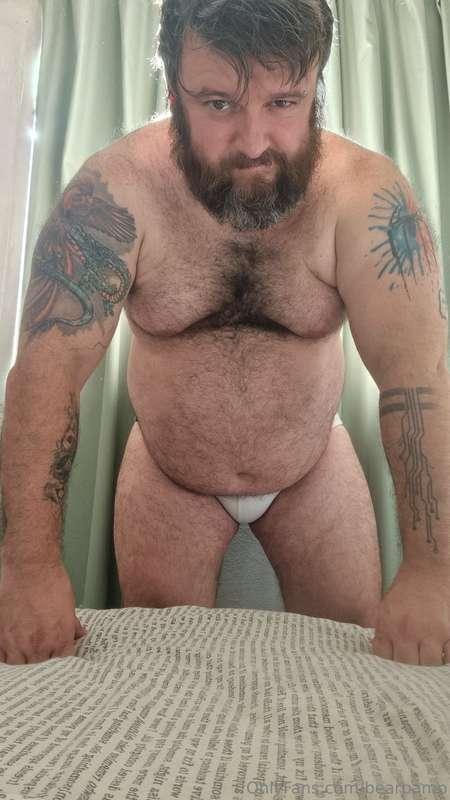 bearpamp image #0