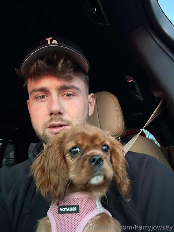 Weekly car rides with my puppers 😍