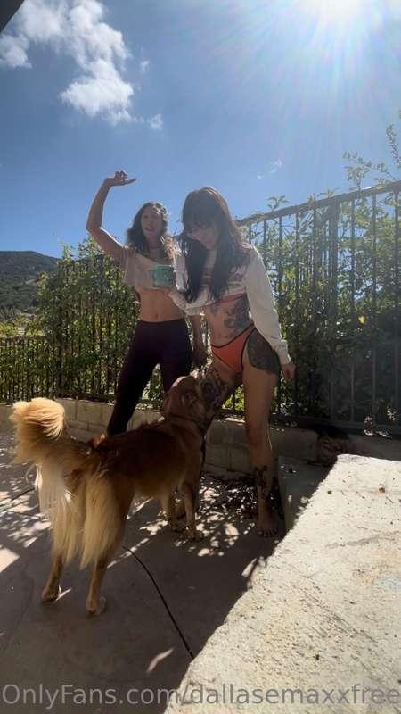 dallasemaxxfree image #1