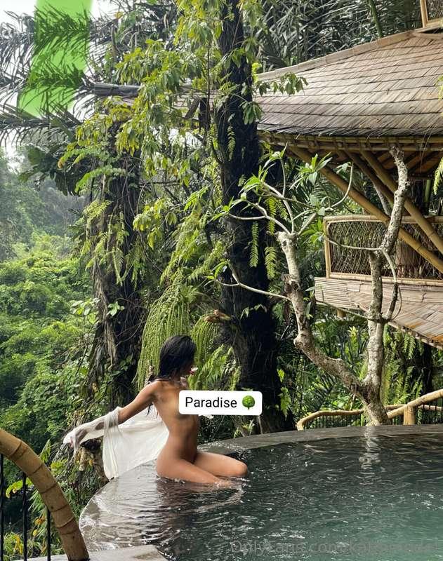Paradise 🌳