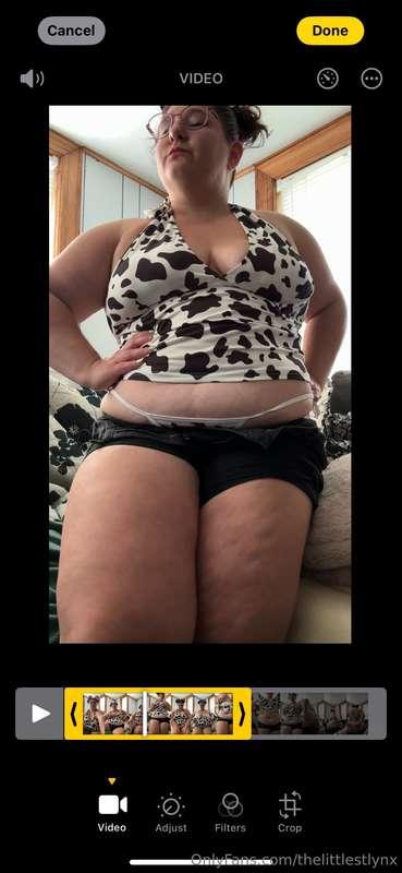 thelittlestlynx image #18