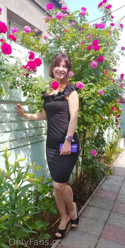 “We all dream of some kind of magical rose garden that lies ..