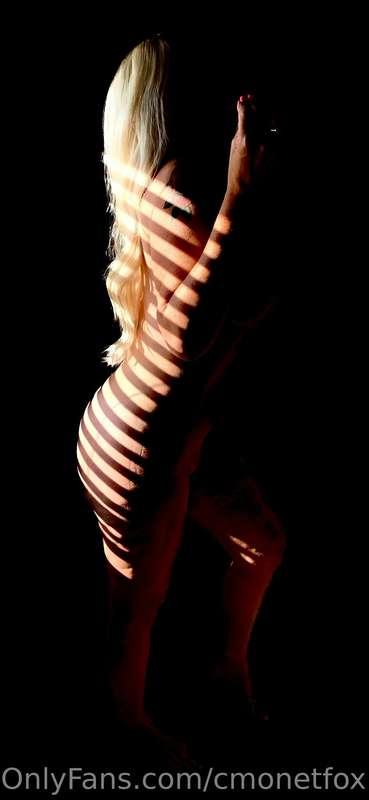 cmonetfox image #0