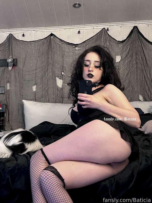 baticia image #2